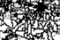 thumbnail - click for larger image