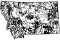 thumbnail - click for larger image
